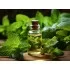 Peppermint Essential Oil 100ml